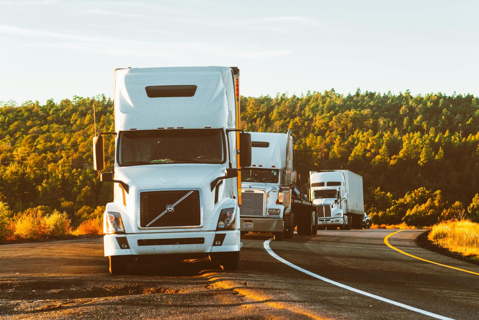 Twin Torres Logistics